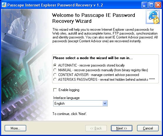 Screenshot of Internet Explorer Password Recovery